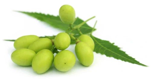 Kosmetyki Orientana z neem - dla kogo? - Orientana