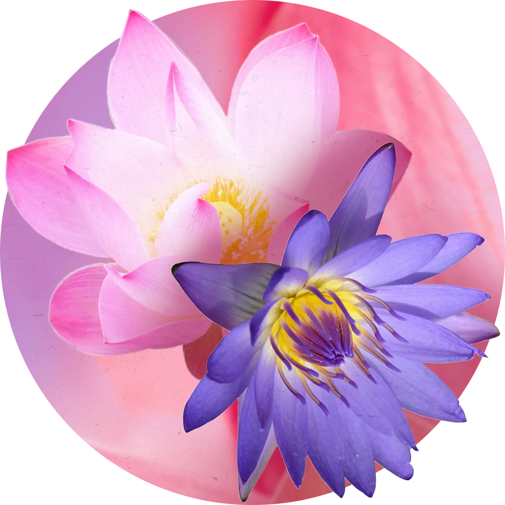 Orientana