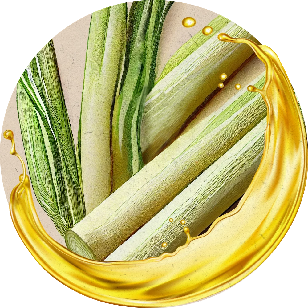 Orientana