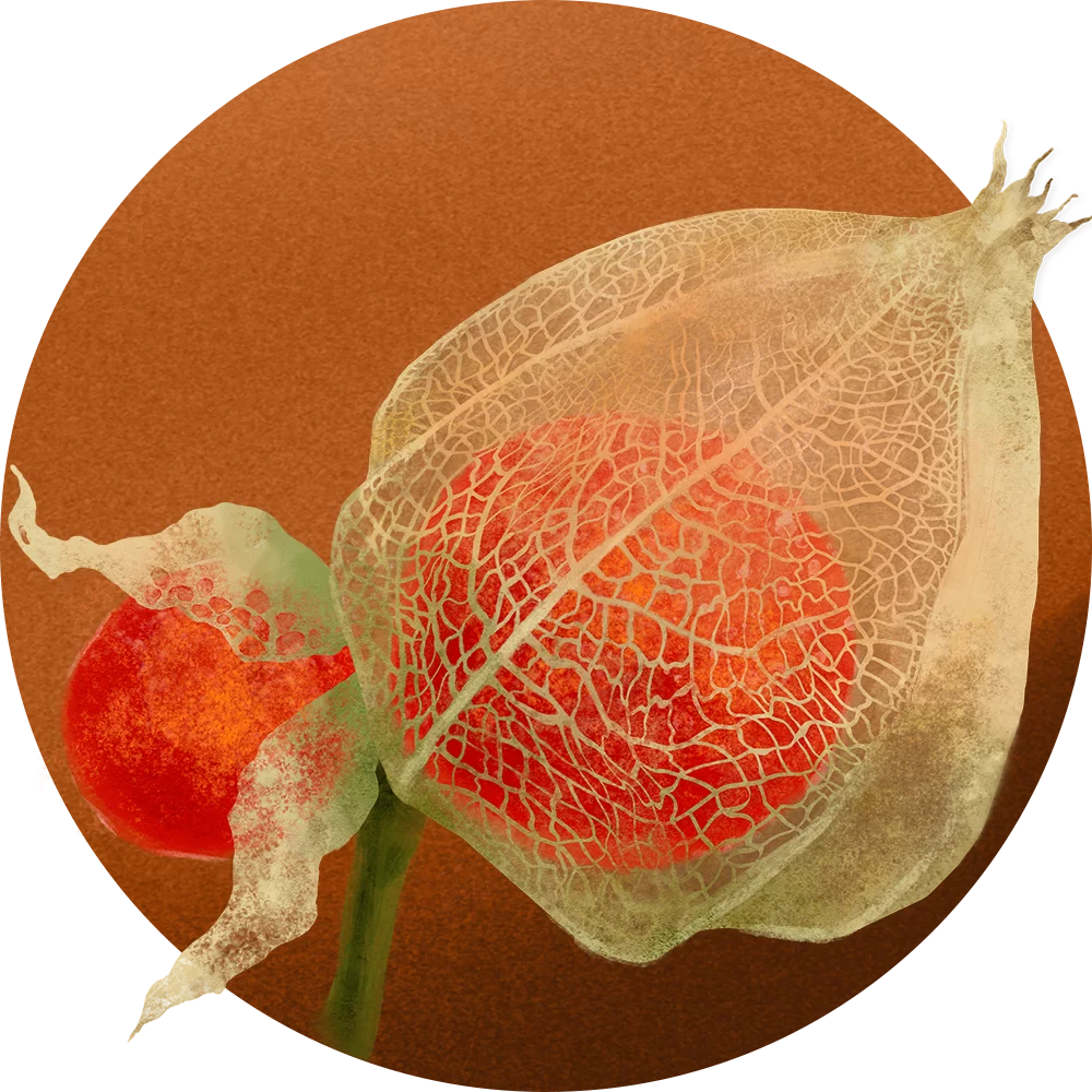 Orientana