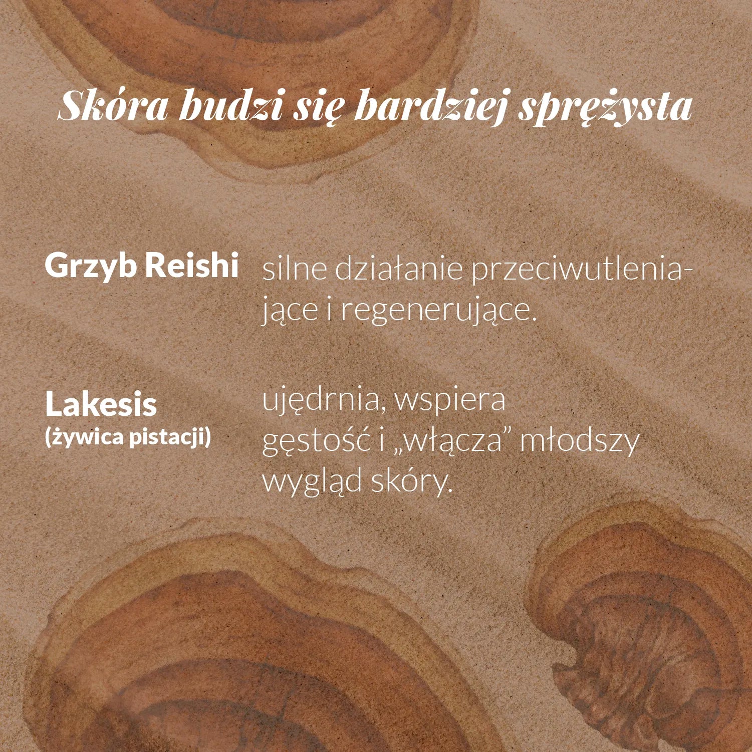 Składniki boostera regeneracja - reishi i żywica pistacji