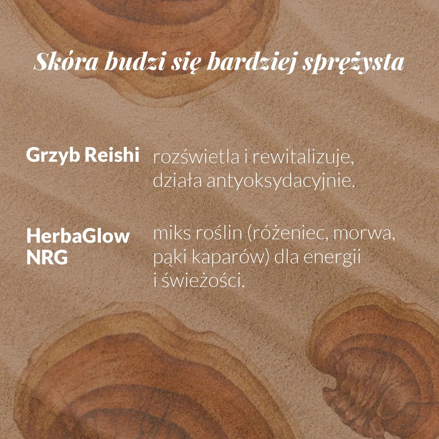 skłądniki aktywne - grzyb reishi i miks roślin HerbaGlow