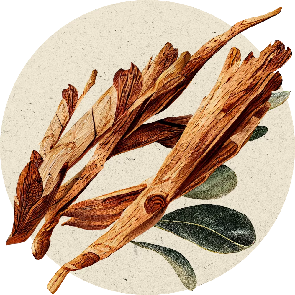 Orientana