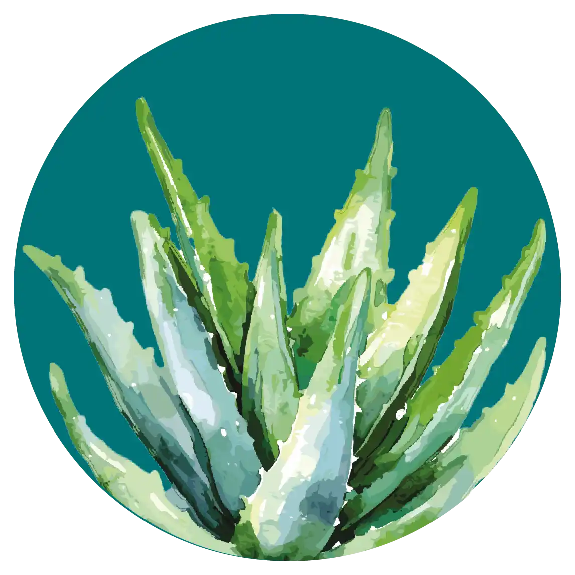 Orientana