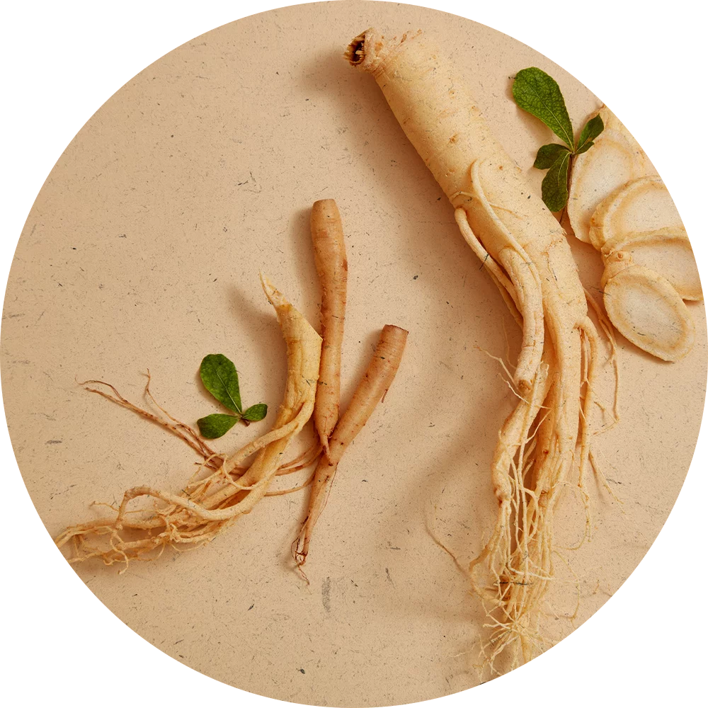 Orientana