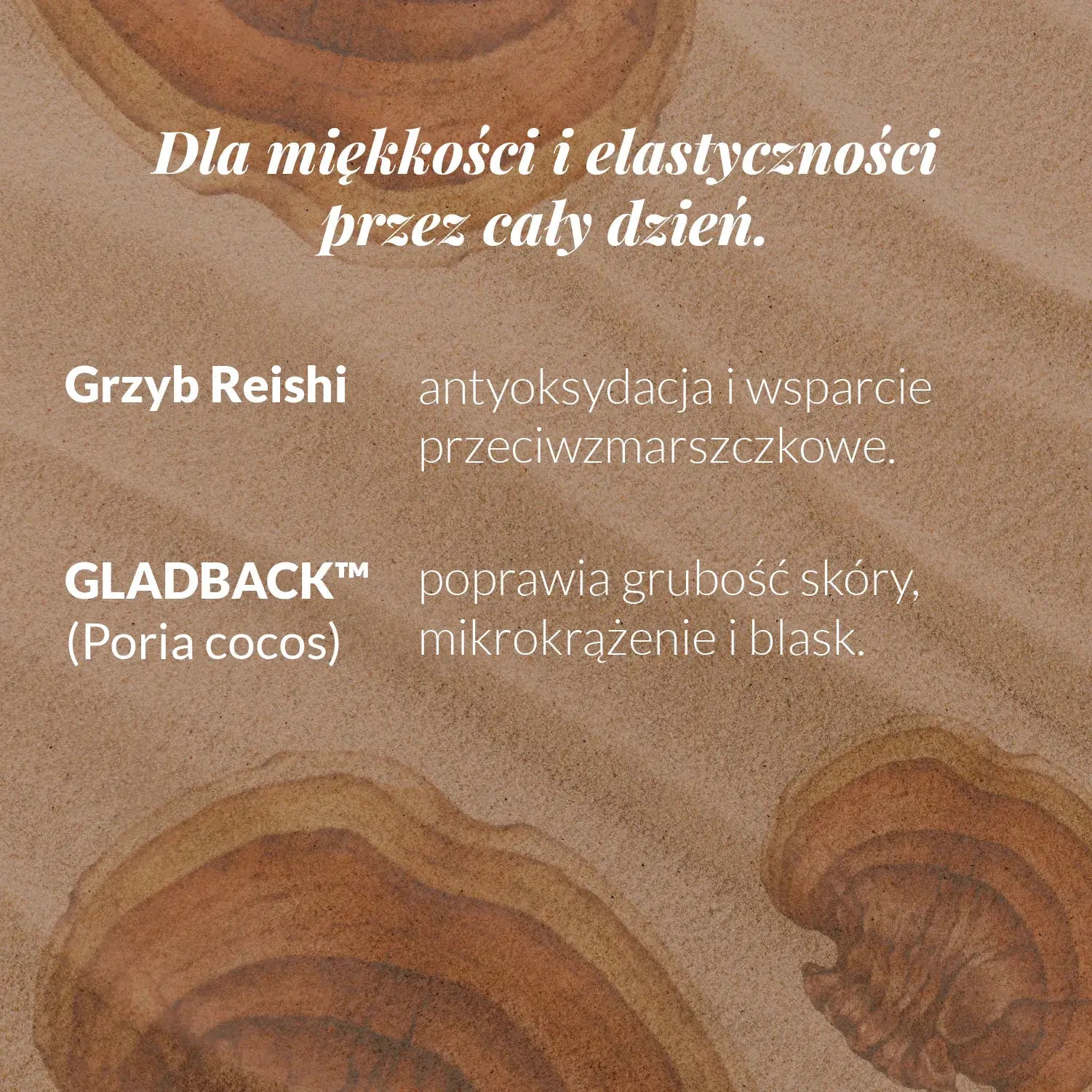 składniki aktywne kremu reishi