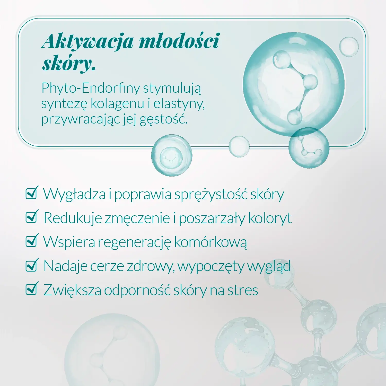 Grafika prezentująca działanie serum Endorfiny Orientana – poprawa sprężystości skóry, wsparcie regeneracji komórkowej i redukcja oznak hormonalnego starzenia skóry.